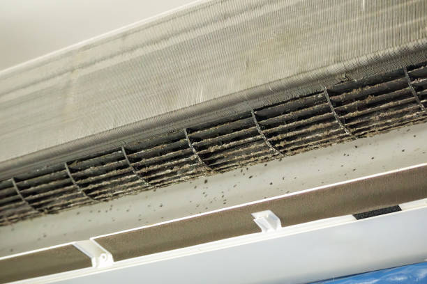 Best Air Quality Test  in Molalla, OR