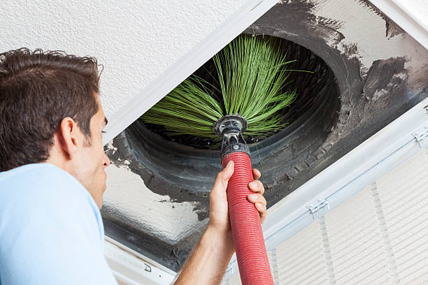 Air Duct Mold Removal in Molalla, OR